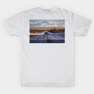 Mt. Drum in Alaska T-Shirt